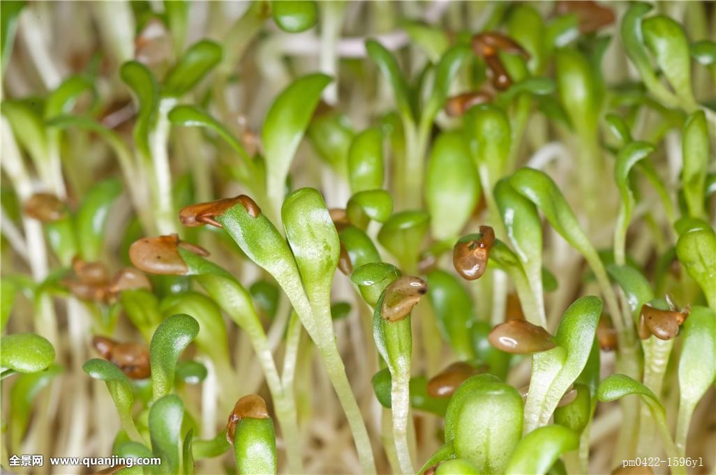 ‘太阳成集团tyc7111cc’
交了一半保费 保险公司因保费未交拒赔 可以要求退还已交保费吗(图5) 太阳成集团tyc7111cc