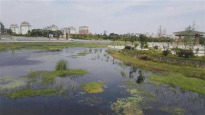 太阳成集团tyc7111cc