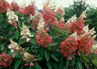 淮北发电全部机组实现超低排放运行‘太阳成集团tyc7111cc’(图4) 太阳成集团tyc7111cc