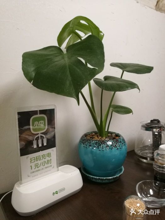 太阳成集团tyc7111cc