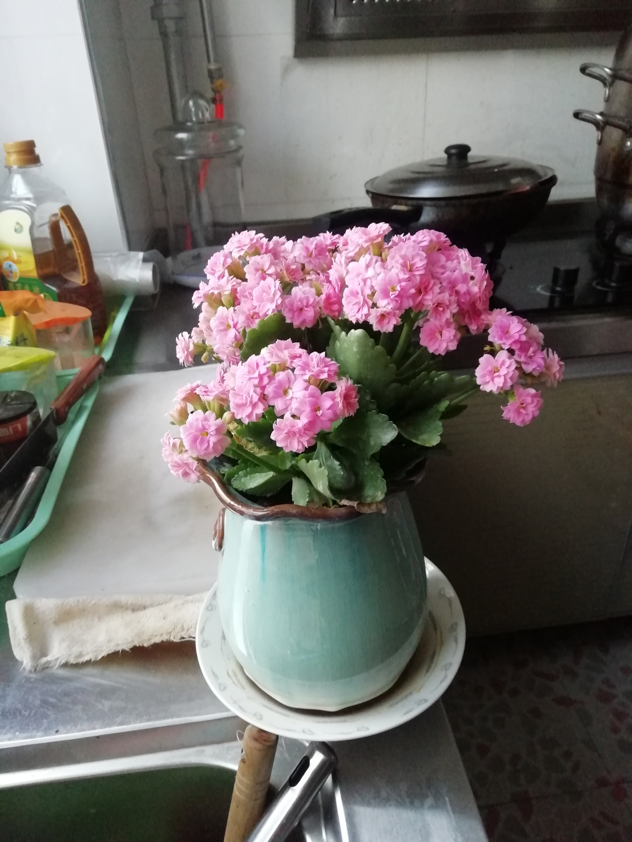 太阳成集团tyc7111cc