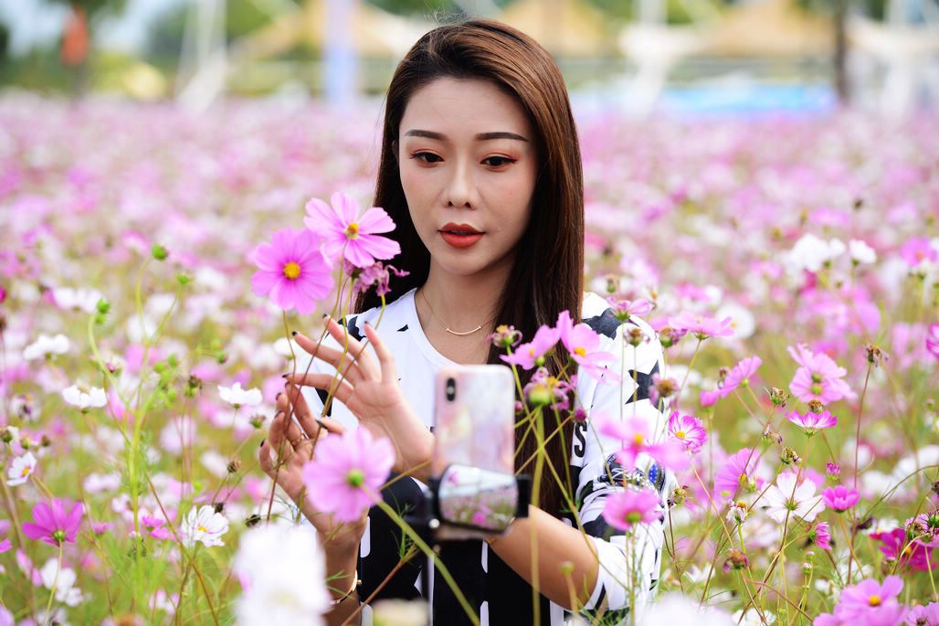 太阳成集团tyc7111cc