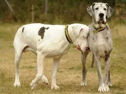 太阳成集团tyc7111cc