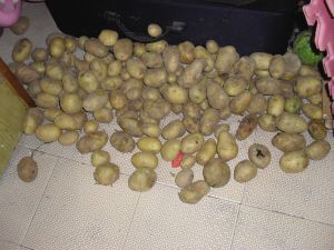 太阳成集团tyc7111cc