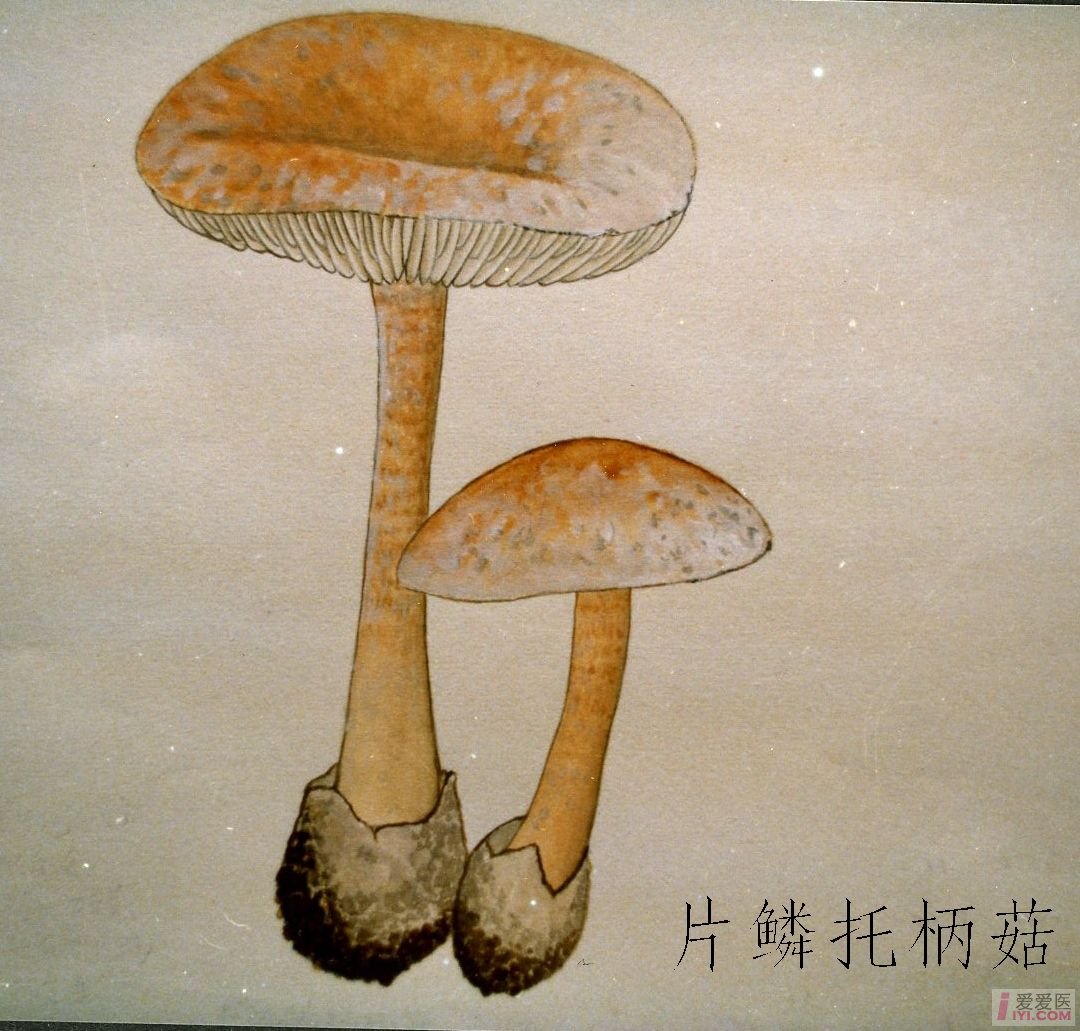 太阳成集团tyc7111cc