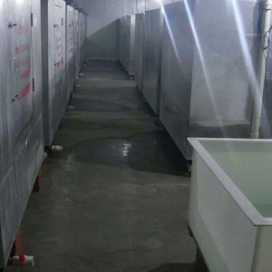 太阳成集团tyc7111cc